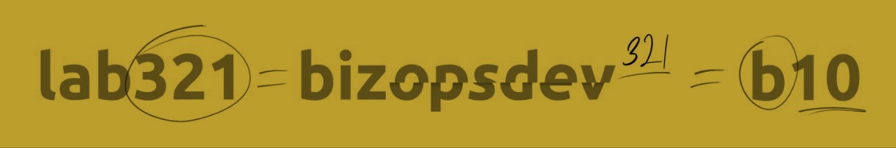 lab321 = bizopsdev321 = b10 — три бренда, одна практика