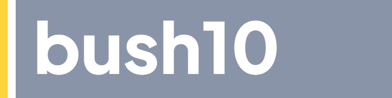 bush10.org